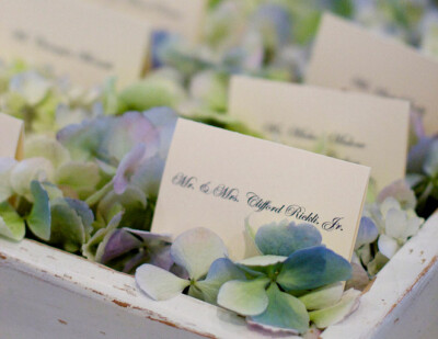 hydrangea, escort card, reception, flowers