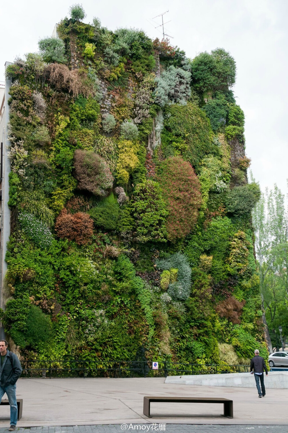 在西班牙马德里的CAIXAFORUM文化艺术中心，有着一个著名的大型垂直花园。由法国植物学家Patrick Blanc设计，这面植物墙跨度约1500平方英尺，生长着约250种植物。植物的种植也极有讲究，在不同季节呈现出不同的色彩和状态，让这个艺术中心的广场总是生机勃勃。图片来自网络的搜集。