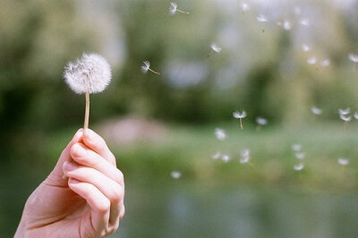 早安心语：我正在努力变成自己喜欢的那个自己 (7)