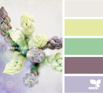 asparagus hues