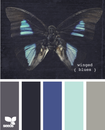 winged blues