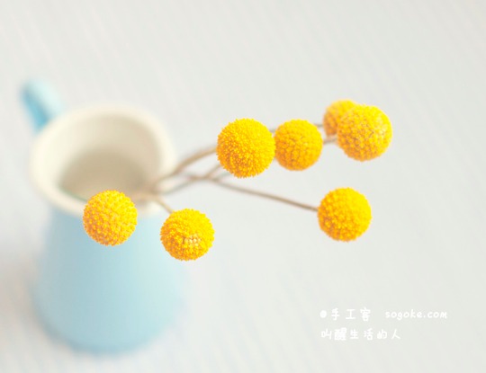 #羊毛毡# 羊毛毡金槌花(billy balls)手工湿毡制作教程，用羊毛毡做一个完美的金槌花，使用的是简单湿毡工艺，做出的东东很简单，但却可以达到很好的装饰效果... （分享自 手工客 叫醒生活的人）教程全文链接： http://t.cn/z8I4CpA 