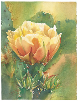 @ Jeanne Bonine --watercolor paintings