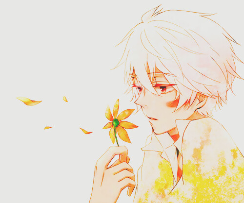 【✿花音❀-------------花与少年❤】2