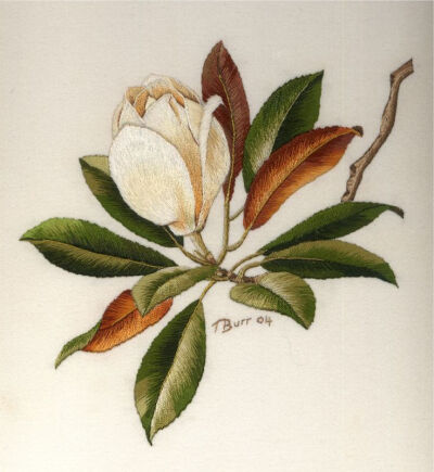 Magnolia