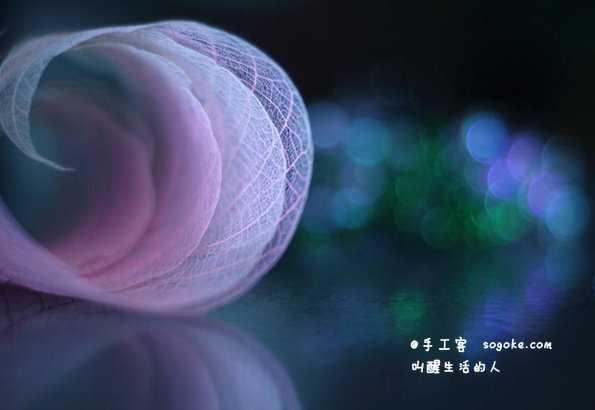 #摄影#来自摄影师 Shihya Kowatari 的一组关于叶子脉络的摄影，唯美而动人！ （分享自 手工客 叫醒生活的人）原文链接： http://t.cn/z8M7nuQ 
