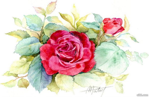 [oi22.com]来自Anne Marie Patry-Belluteau的水彩插画