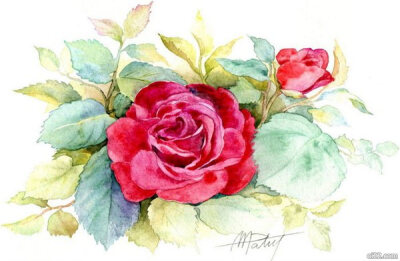 [oi22.com]来自Anne Marie Patry-Belluteau的水彩插画