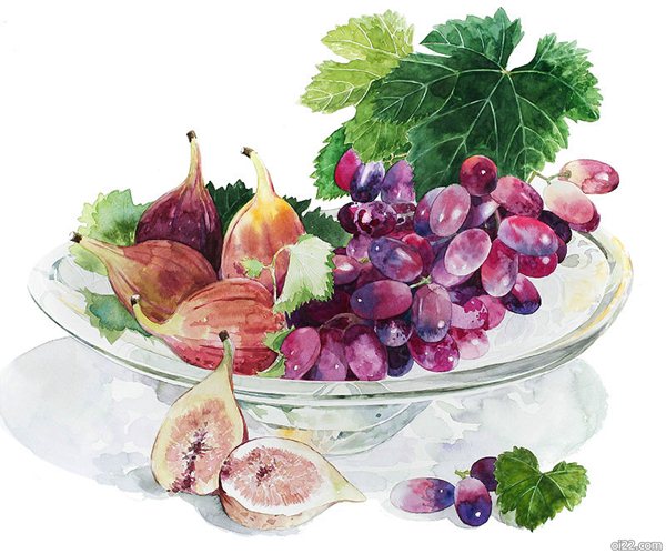 [oi22.com]Ayako Tsuge水彩插画，水果拼盘和捧花