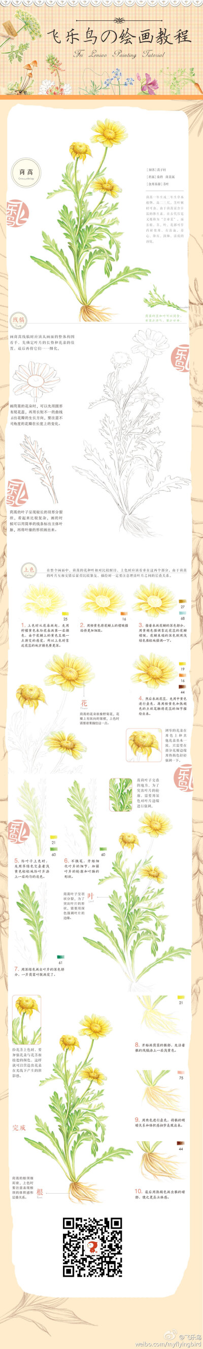 @飞乐鸟 #教程#茼蒿，既可以作药材，又是蔬菜，小时候我们叫它“飞机菜”，你们叫它什么呢？