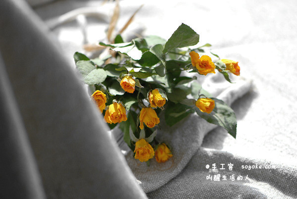 花婆婆真不错呀 （主页 http://t.cn/z80S4Bj）分享的干花制作心得: 留住时光不许谢，赶在花未开时，将它们埋进干燥剂中，出来后的颜色金灿灿的，在阳光下让我真觉得有点秋天的感觉了。 （分享自 手工客 sogoke.com 手工创作人的工作和生活社区 ）原文链接： http://t.cn/z8NI9vz 