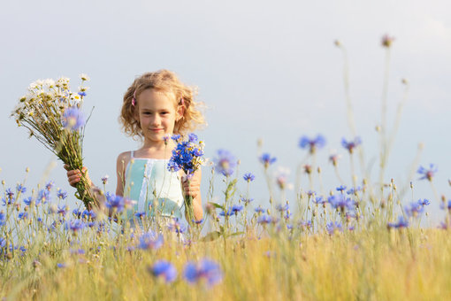 12990823574473、child、field、Flowers、girl in field