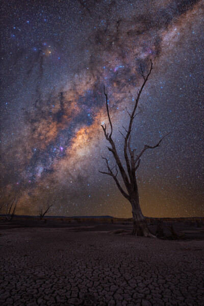 Dreamy Milky Way Photography