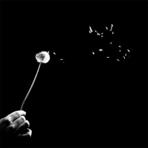 The Black and White Photography of Benoit Courti ——