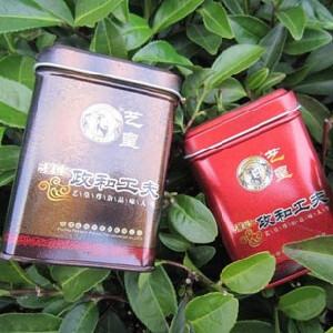 艺皇茶叶 政和工夫红茶 大茶小茶2罐 静远茶城（www.chashui.cc）