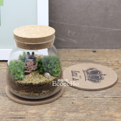 Ecoecho苔藓微景观苔藓瓶生态瓶创意绿植伴手礼