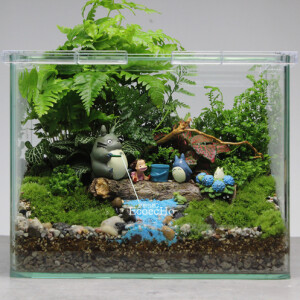 Ecoecho苔藓微景观苔藓生态瓶创意绿植宫崎骏龙猫系列夏天