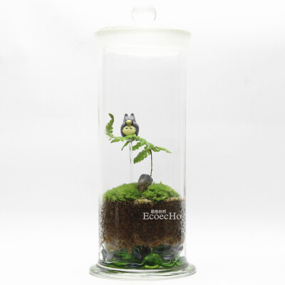 Ecoecho苔藓微景观苔藓瓶生态瓶创意绿植宫崎骏龙猫且听风吟