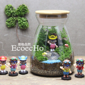 Ecoecho苔藓微景观苔藓瓶生态瓶创意绿植动漫系列阿拉蕾