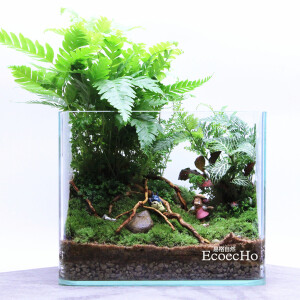 苔藓微景观苔藓瓶生态瓶创意绿植造景方缸&ldquo;等等我&rdquo;上架