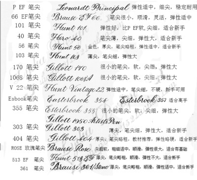 Speedball英文书法Copperplate圆体花体专用蘸水笔斜头笔杆组合