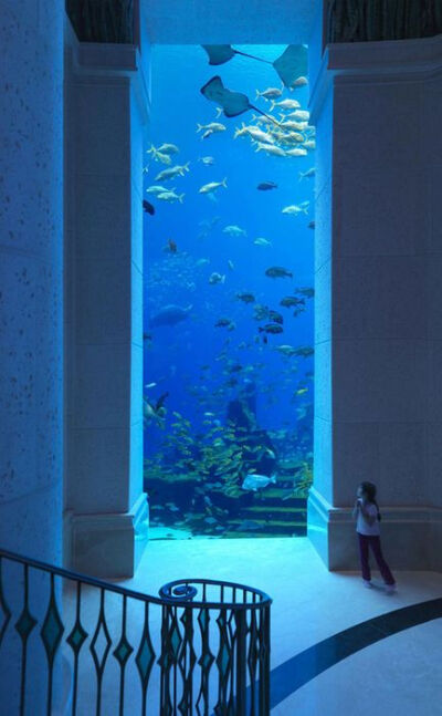 迪拜海底酒店，有钱就到这里花！！