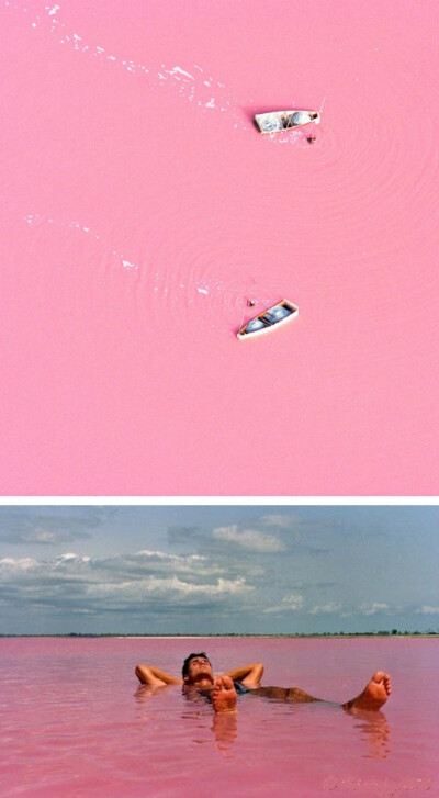 塞内加尔的玫瑰湖，该湖放出的粉红色调，由于蓝藻，无害的嗜盐菌在水中形成的。玫瑰湖具有较高的含盐量，就像是死海，允许人们毫不费力地在巨大的粉红色的水上漂浮。