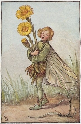 #踏花行# 花之精灵 | Fairies &amp;amp; Flowering