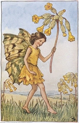 #踏花行# 花之精灵 | Fairies &amp;amp; Flowering