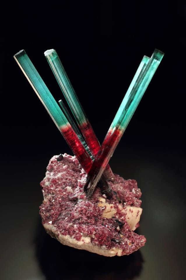 A stunning Tourmaline from the Pederneira mine in Minas Gerais, Brazil. The photo is by German photographer Malte Sickinger.