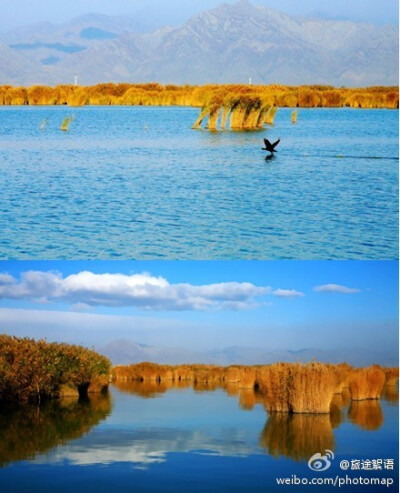 【宁夏 沙湖】湖水如海，柔沙似绸，天水一色，苇丛若画的沙湖，犹如一颗璀璨的明珠，镶嵌在美丽富饶的宁夏平原上。