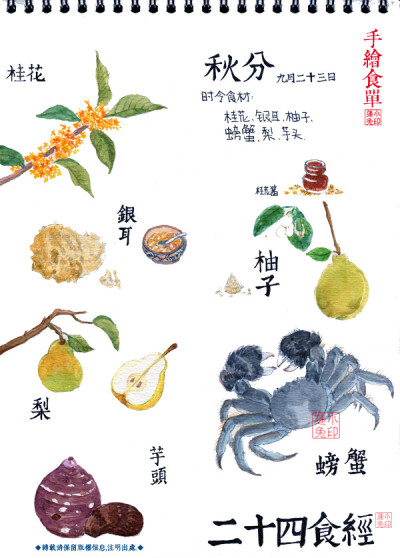 【二十四食经——秋分】时食：桂花、银耳、柚子、螃蟹、梨、芋头、柚子。秋分：农历二十四节气中的第十六个节气，时间一般为每年的9月22或23日。南方的气候由这一节气起才始入秋。螃蟹、柚子、芋头都是不可或缺的角…