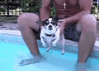 空中狗刨现象…..一杯水就可以！（转）