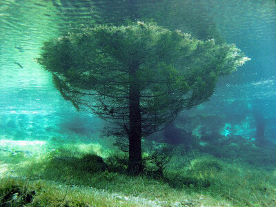 奥地利水珍珠 · 绿湖水下公园 ，位于奥地利萨尔茨卡默古特地区