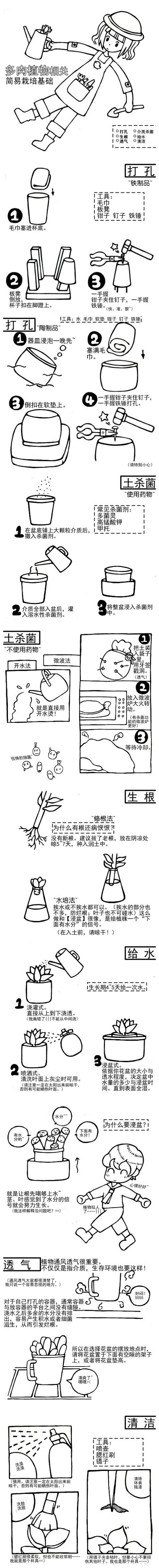 多肉植物相关简易栽培基础。（图片来自网络）>各种奇思妙想，各种新奇玩意儿。推荐关注心灵手巧DIY