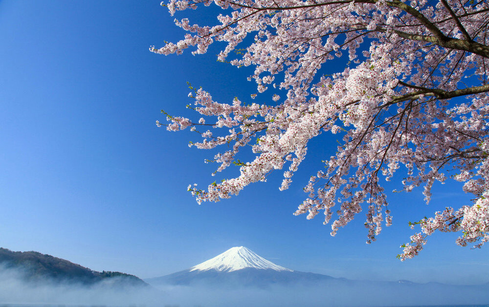 富士山。By：长腿叔叔 Lofter地址：http://owenxu7.lofter.com/