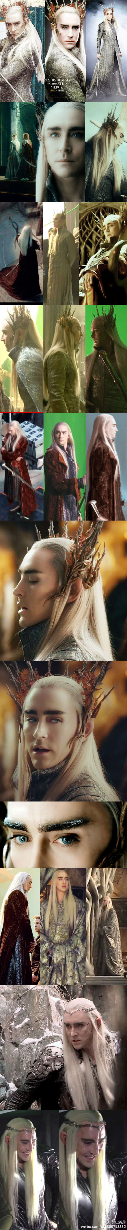 【Thranduil正式登场一周年】2012.08.30日——瑟兰迪尔定妆照曝光。