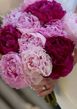 peony bouquets