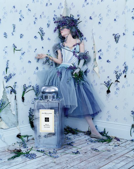 美国代购 现货 Jo Malone Wild BlueBell 蓝色风铃草 蓝风铃 香水