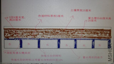 这个可以边片的种菜,种果树