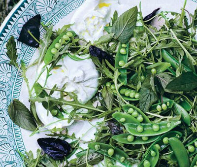 Snap Pea Salad with Burrata