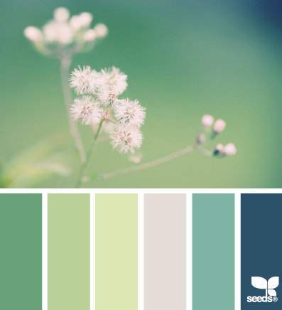 nature palette 09.04.13 -鱼-