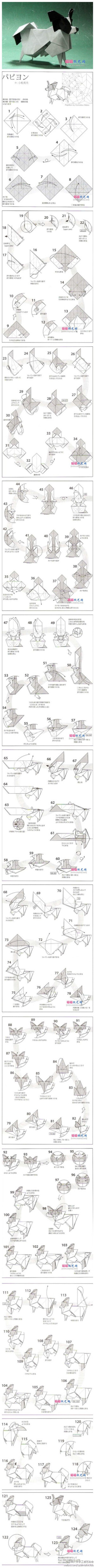 蝴蝶犬