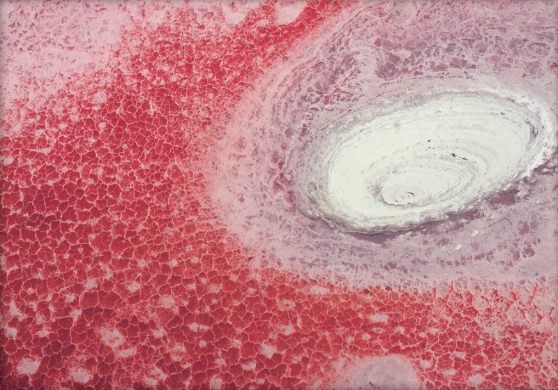 “Pink galaxy” (Galassia rosa), Tanzania, 2013