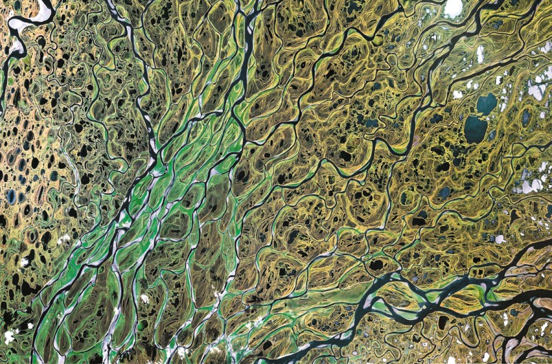 “Cellularità” delta del fiume Lena, Russia, 2012