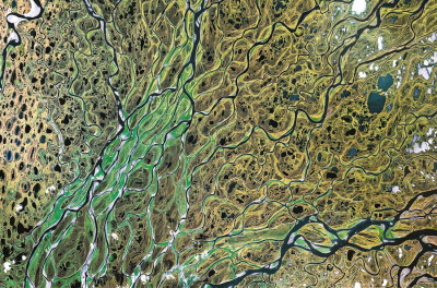 “Cellularità” delta del fiume Lena, Russia, 2012