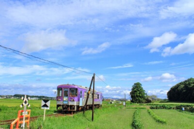 镜头下的日本：兵库县加西市，北条铁道、长站附近。摄影by タカチホ急行