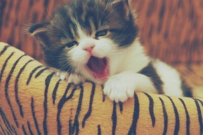 未来的日子，有你在身边。