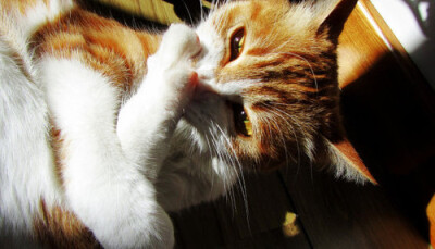 未来的日子，有你在身边。