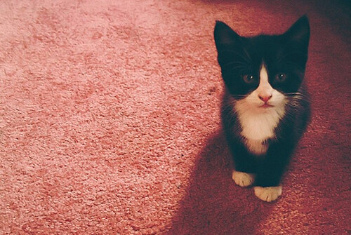 未来的日子，有你在身边。